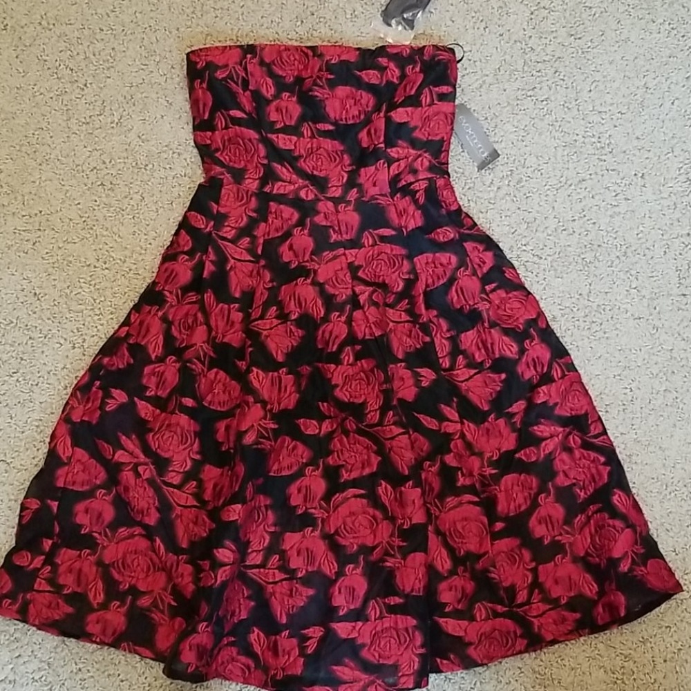 NYC Eva Mendes Black and Red Floral Summer Dress